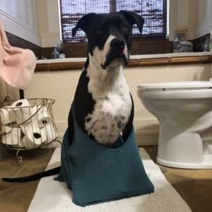 Meet your Posher, Carrie